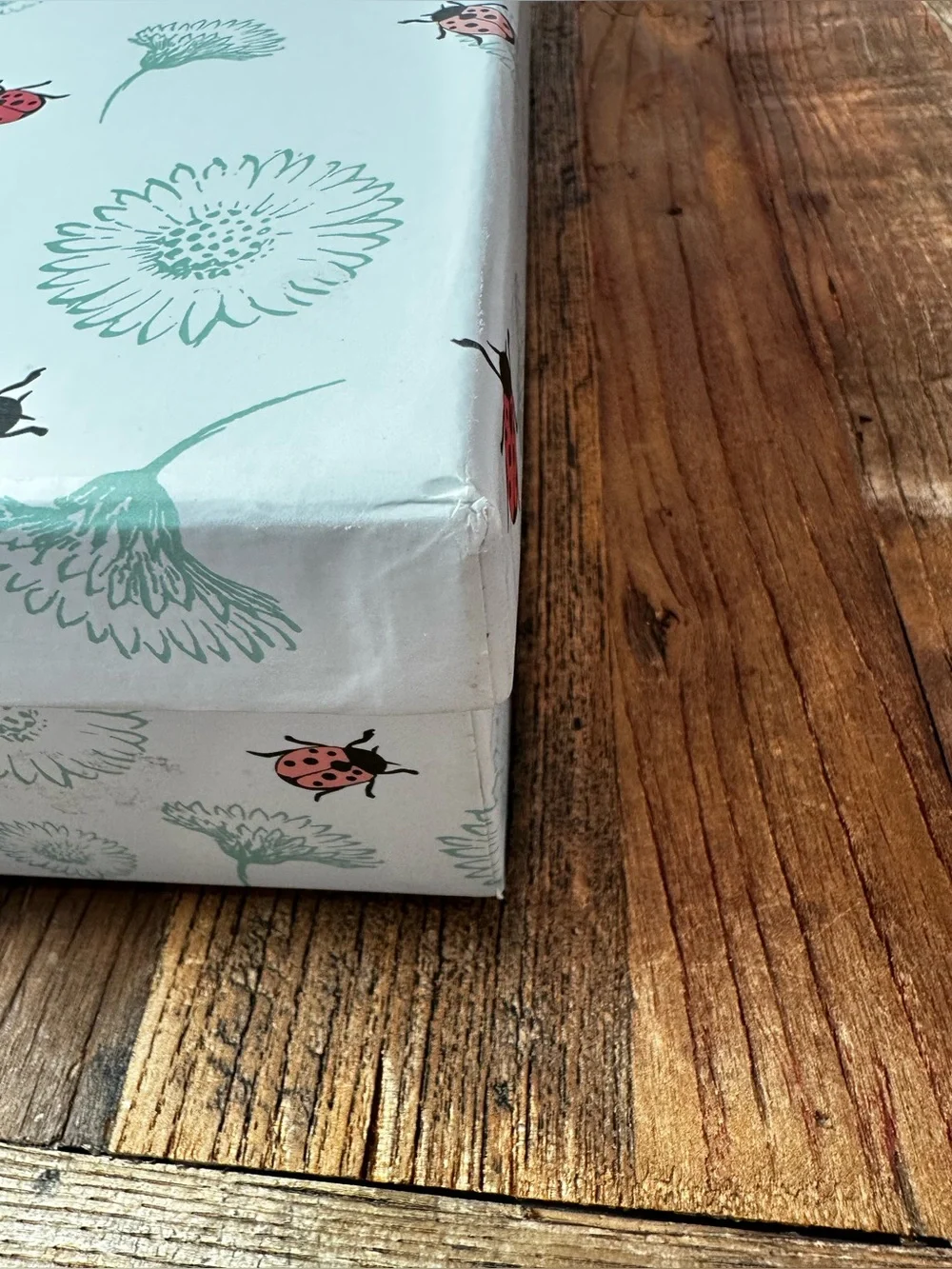Decorative Ladybug Floral Storage Box in White and Pink